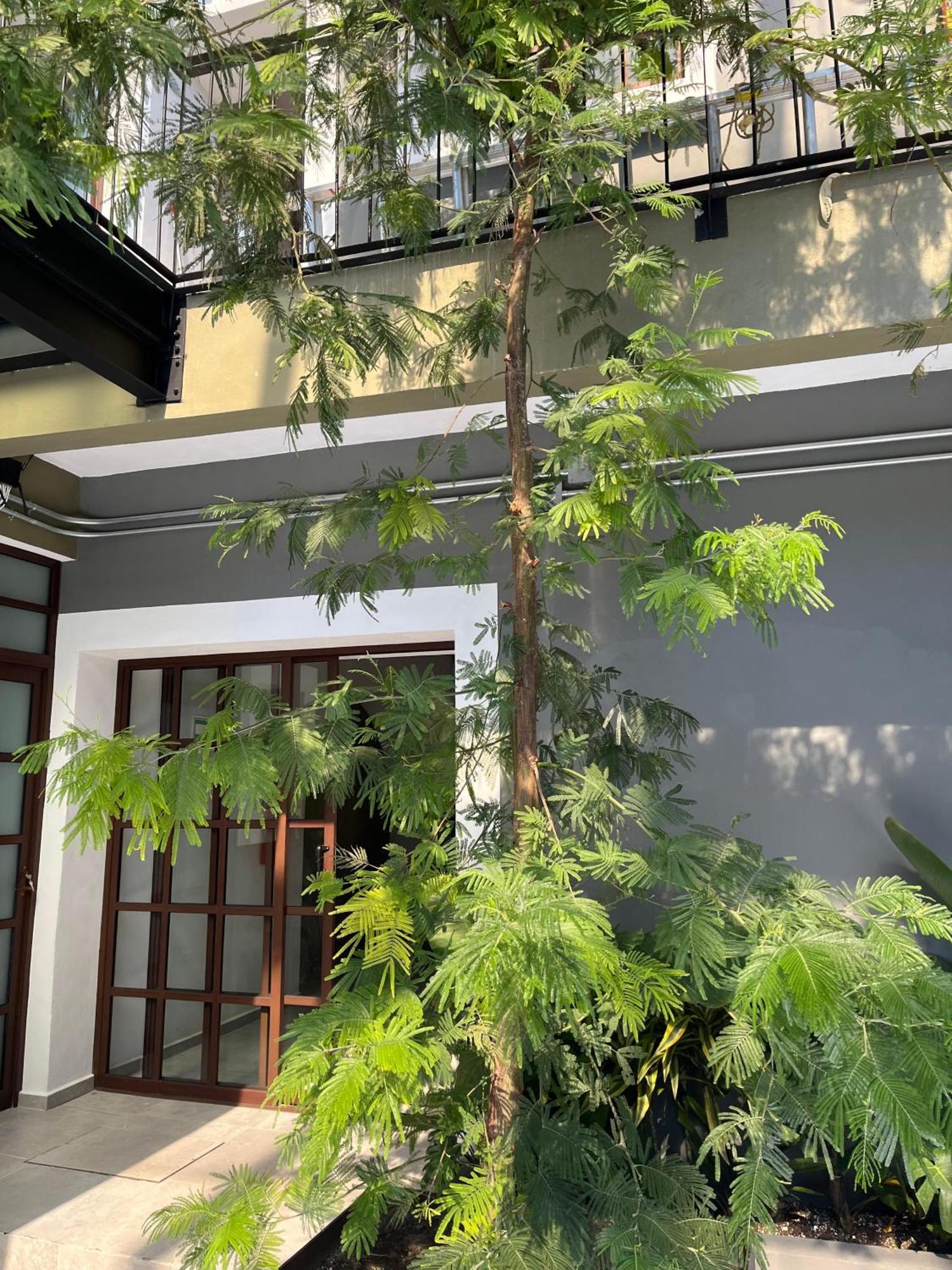 Hotel Eonia Atlixco Exterior foto
